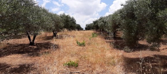 Hotel in Heraklion, Greece 15000m², Nr. 4144 5