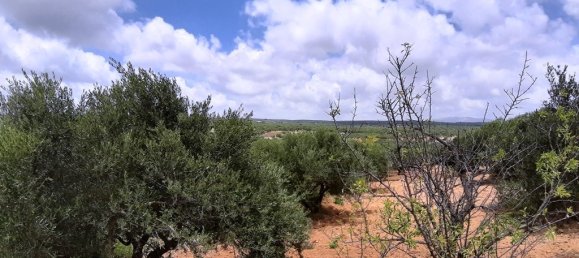 Hotel in Heraklion, Greece 15000m², Nr. 4144 3