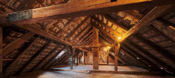 Propriété commerciale à Liesing, Austria 296m² No. 128271 23