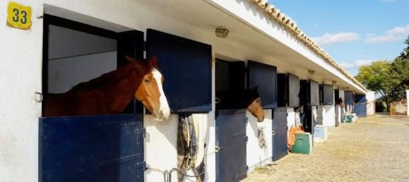 6 bedrooms House in San Sebastian de los Reyes, Spain No. 87100 14