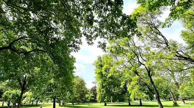 2 Schlafzimmer Wohnung in Rudolfsheim-Funfhaus, Austria, Nr. 148982