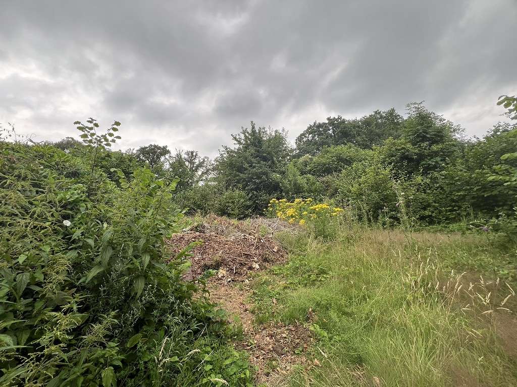 Terrain à Schleswig-Holstein, Germany No. 106273