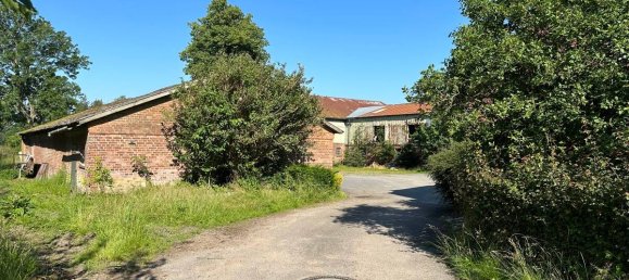 8 rooms Farm in Schleswig-Flensburg, Germany No. 76019 15