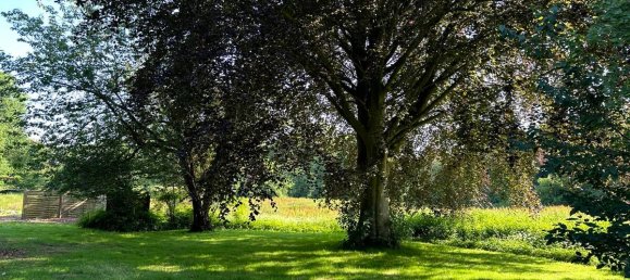 8 rooms Farm in Schleswig-Flensburg, Germany No. 76019 14