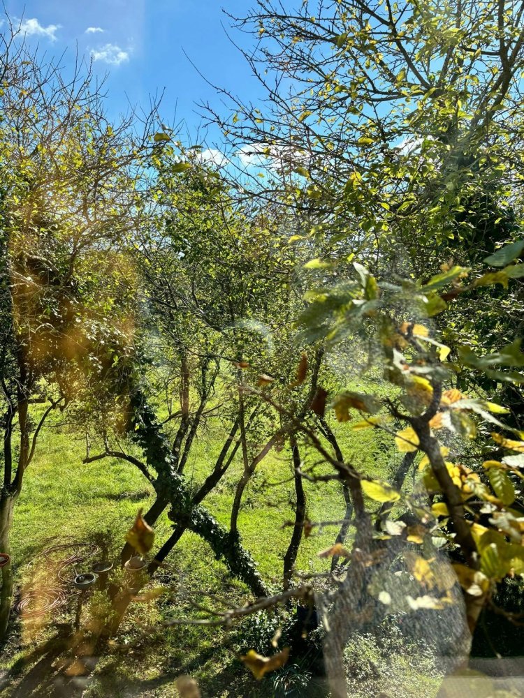  Land in Fondettes, France No. 212505