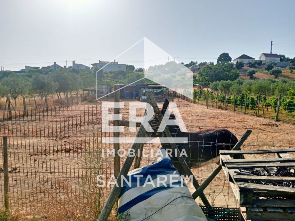  Land in Pontevel, Portugal No. 334446