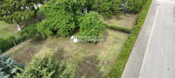 4 rooms House in Trautmannsdorf an der Leitha, Austria No. 233562 3