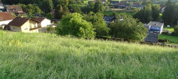  Land in Merzig-Wadern, Germany No. 61050 3