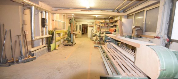 Propriété commerciale à Mainz-Bingen, Germany 809m² No. 178377 10