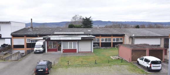 Propriété commerciale à Mainz-Bingen, Germany 809m² No. 178377 3