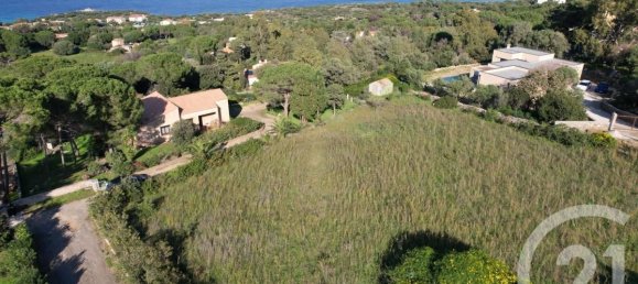 Terrain à Corbara, France 2000m² No. 270458 2