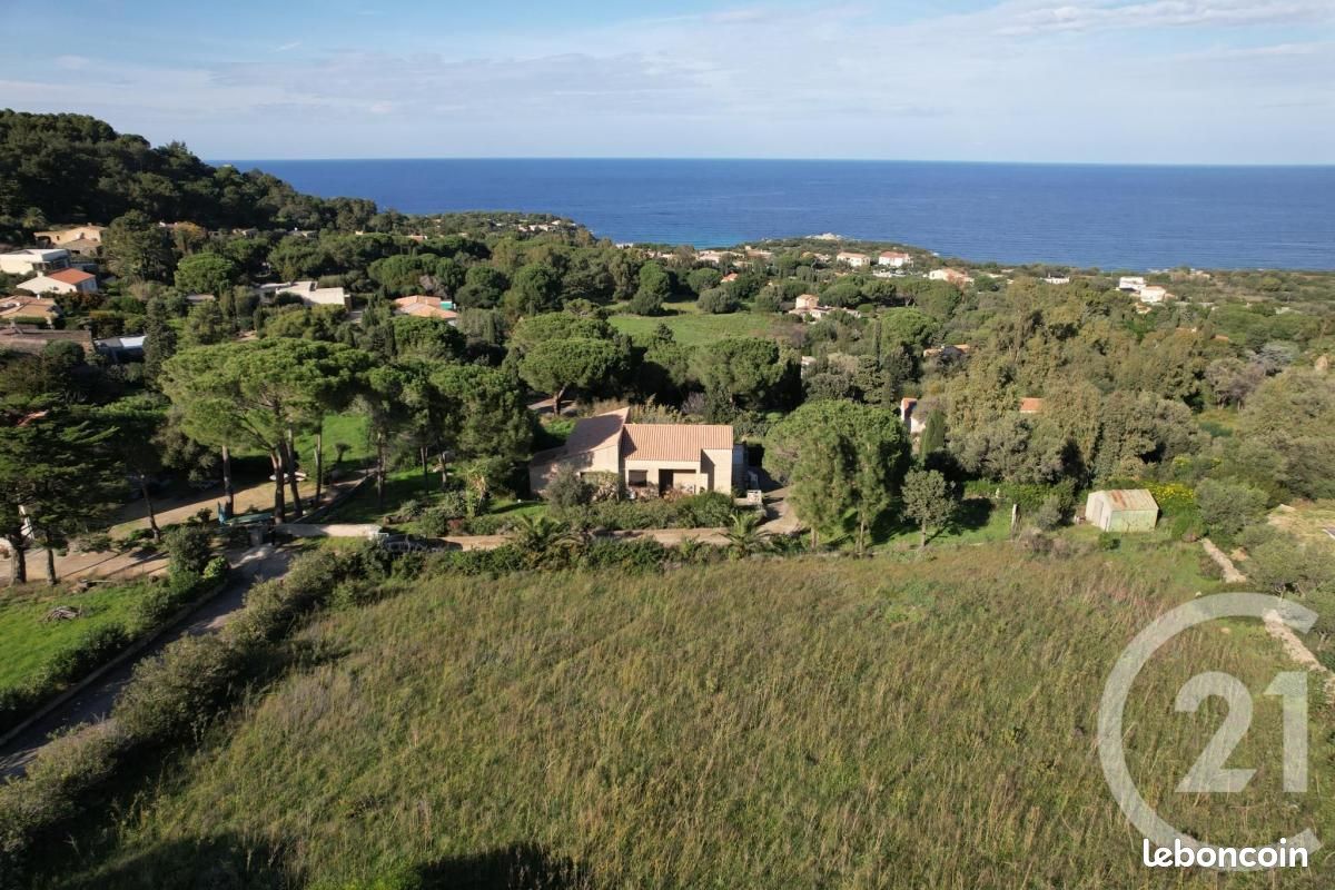 Terrain à Corbara, France 2000m² No. 270458