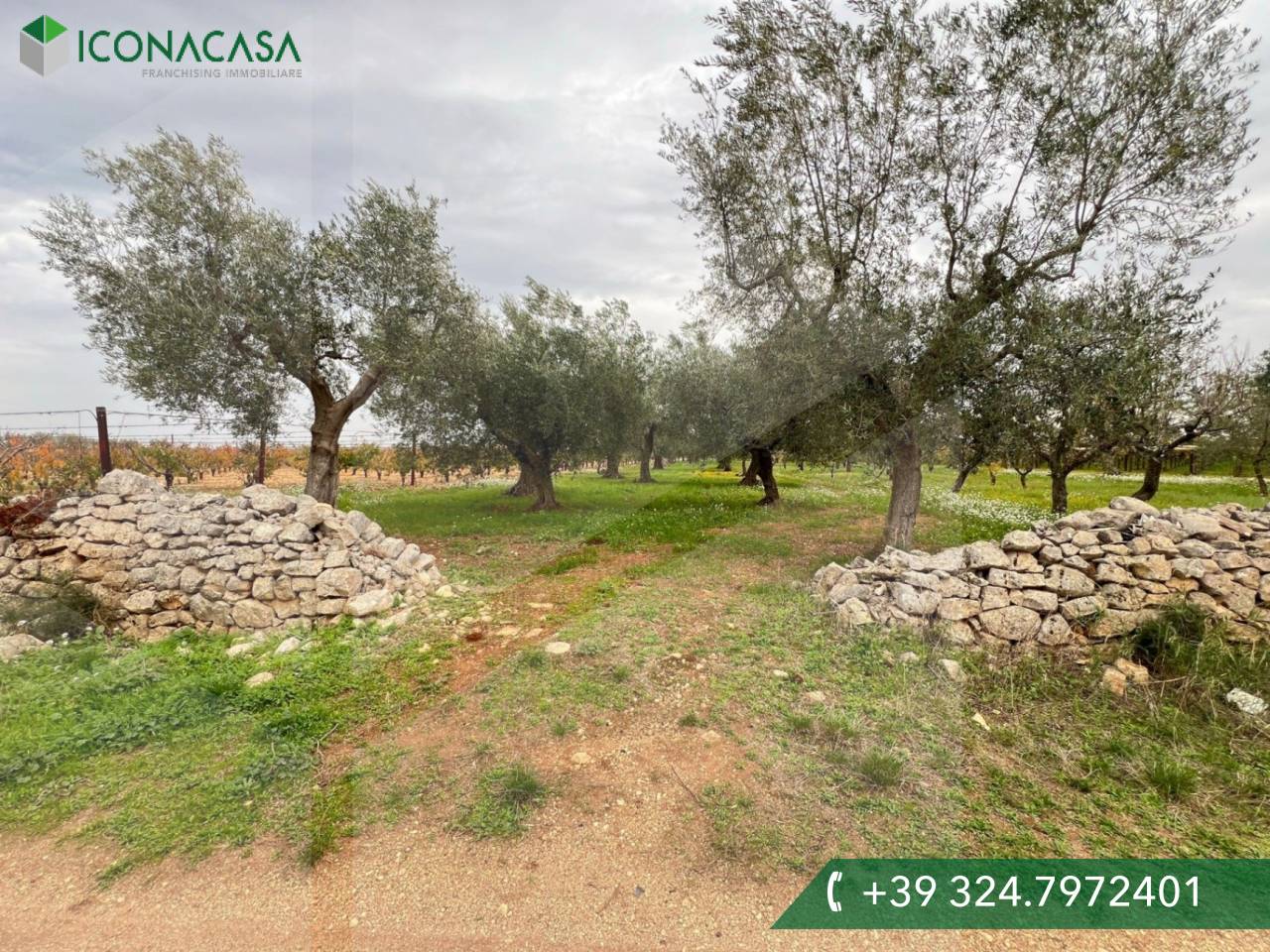 Terreno em Conversano, Italy 6000 m² N.º 19962