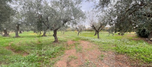 Terreno em Conversano, Italy 6000 m² N.º 19962 3