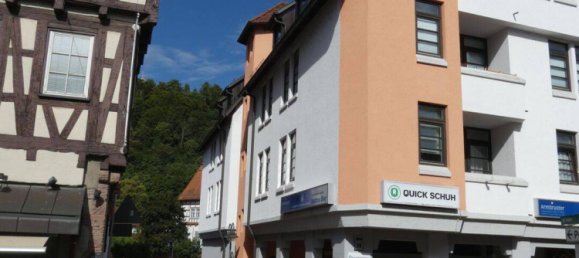 2 rooms Commercial property in Calw, Germany No. 356475 2