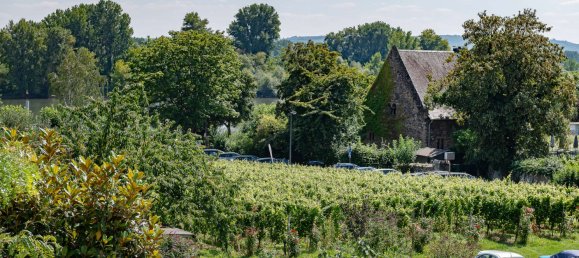 Hotel en Rheingau-Taunus, Germany 478 m² No. 365047 43