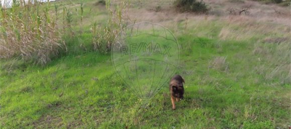 9 bedrooms Castles in Idanha a Nova, Portugal No. 64535 3