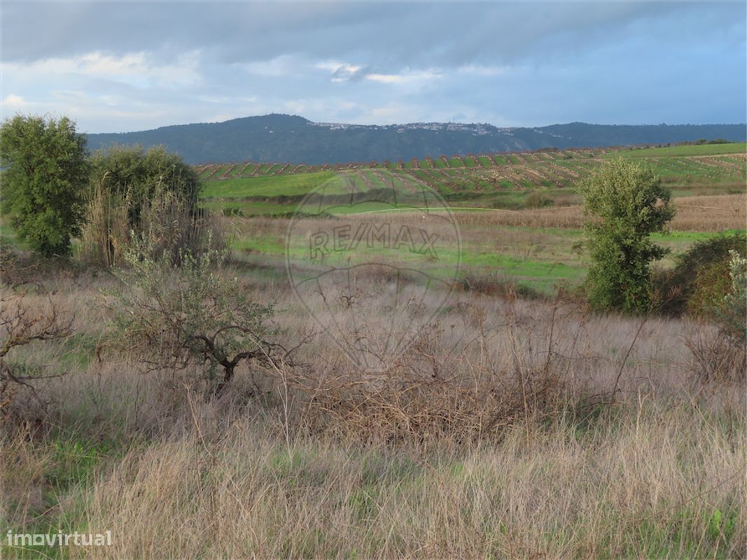 9 bedrooms Castles in Idanha a Nova, Portugal No. 64535