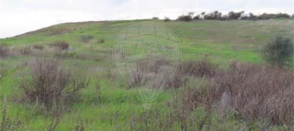 9 bedrooms Castles in Idanha a Nova, Portugal No. 64535 11