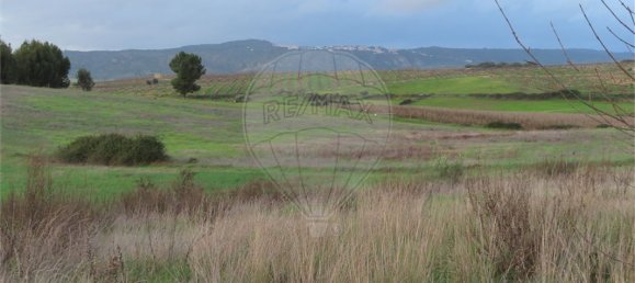 9 bedrooms Castles in Idanha a Nova, Portugal No. 64535 7