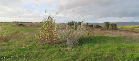 9 bedrooms Castles in Idanha a Nova, Portugal No. 64535 19