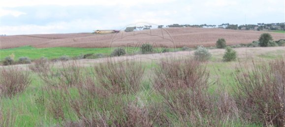 9 bedrooms Castles in Idanha a Nova, Portugal No. 64535 10