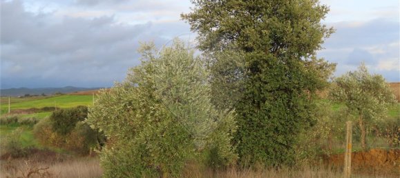 9 bedrooms Castles in Idanha a Nova, Portugal No. 64535 17