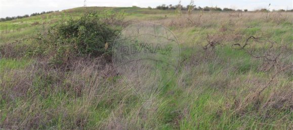 9 bedrooms Castles in Idanha a Nova, Portugal No. 64535 15