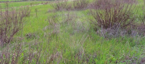 9 bedrooms Castles in Idanha a Nova, Portugal No. 64535 13