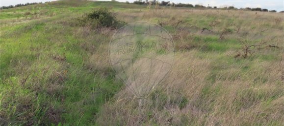 9 bedrooms Castles in Idanha a Nova, Portugal No. 64535 16