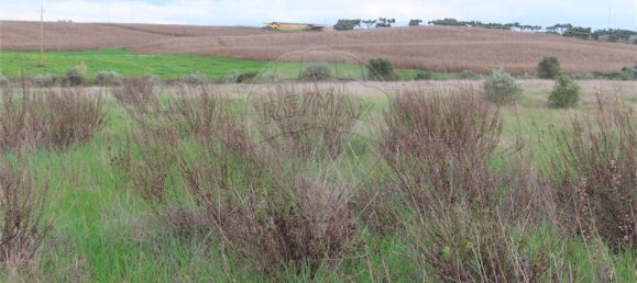 9 bedrooms Castles in Idanha a Nova, Portugal No. 64535 8