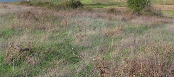 9 bedrooms Castles in Idanha a Nova, Portugal No. 64535 2