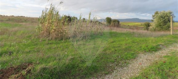 9 bedrooms Castles in Idanha a Nova, Portugal No. 64535 18