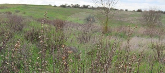 9 bedrooms Castles in Idanha a Nova, Portugal No. 64535 14