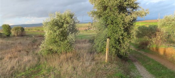 9 bedrooms Castles in Idanha a Nova, Portugal No. 64535 20