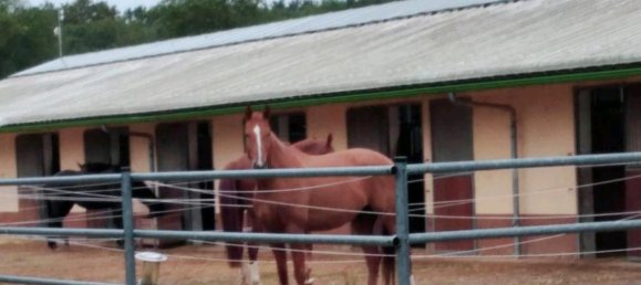 Casa de 7 divisões em Minden-Lubbecke, Germany N.º 262566 2