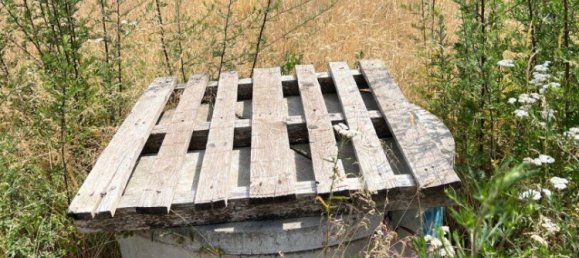  قطعة أرض في Eisenkappel-Vellach, Austria رقم 126933 6