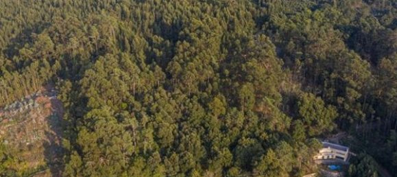 Земельный участок 2000м² в Каминья, Португалия № 57148 4