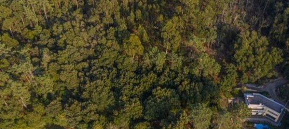 Земельный участок 2000м² в Каминья, Португалия № 57148 3