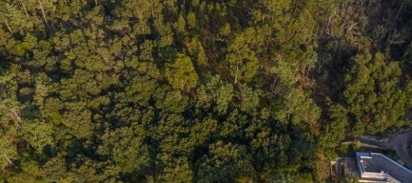 Земельный участок 2000м² в Каминья, Португалия № 57148 5