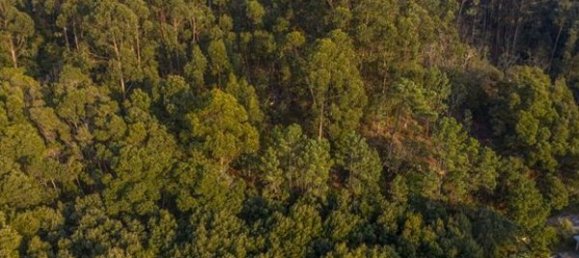 Земельный участок 2000м² в Каминья, Португалия № 57148 8