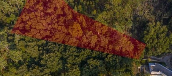 Земельный участок 2000м² в Каминья, Португалия № 57148 2