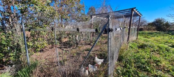 4 غرف نوم منزل في Zaragoza, Spain رقم 113496 11