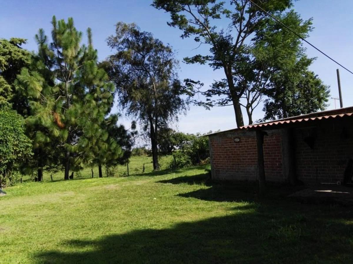 4 Schlafzimmer Haus in Colima, Mexico, Nr. 186000