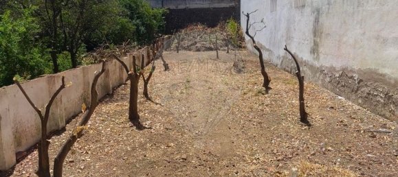 4 bedrooms House in Campo Maior, Portugal No. 30239 5