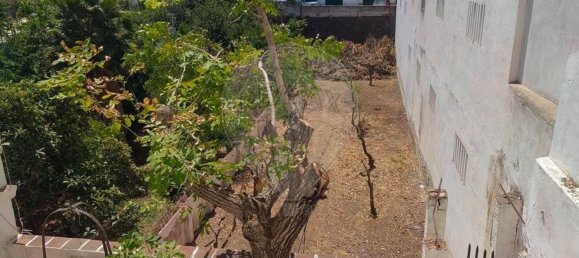 4 bedrooms House in Campo Maior, Portugal No. 30239 15