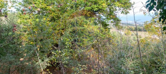 13-Zimmer Haus in Milo, Italy, Nr. 235244 10