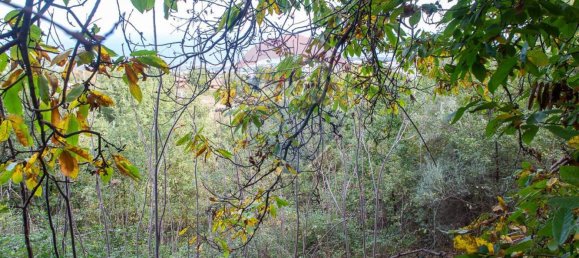 13-Zimmer Haus in Milo, Italy, Nr. 235244 14