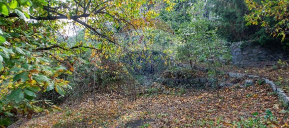 13-Zimmer Haus in Milo, Italy, Nr. 235244 17