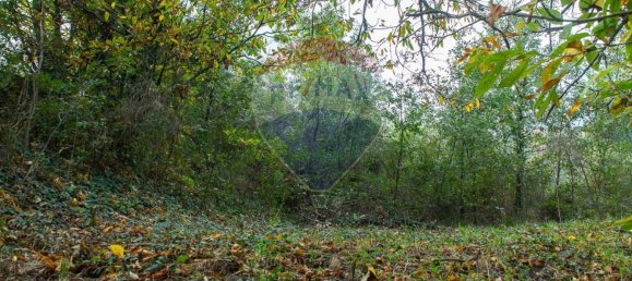 13-Zimmer Haus in Milo, Italy, Nr. 235244 18